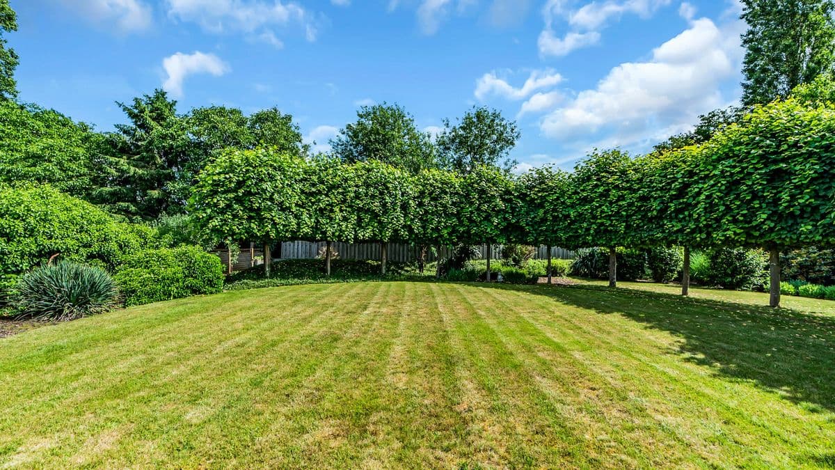 Huis Beringen foto 10