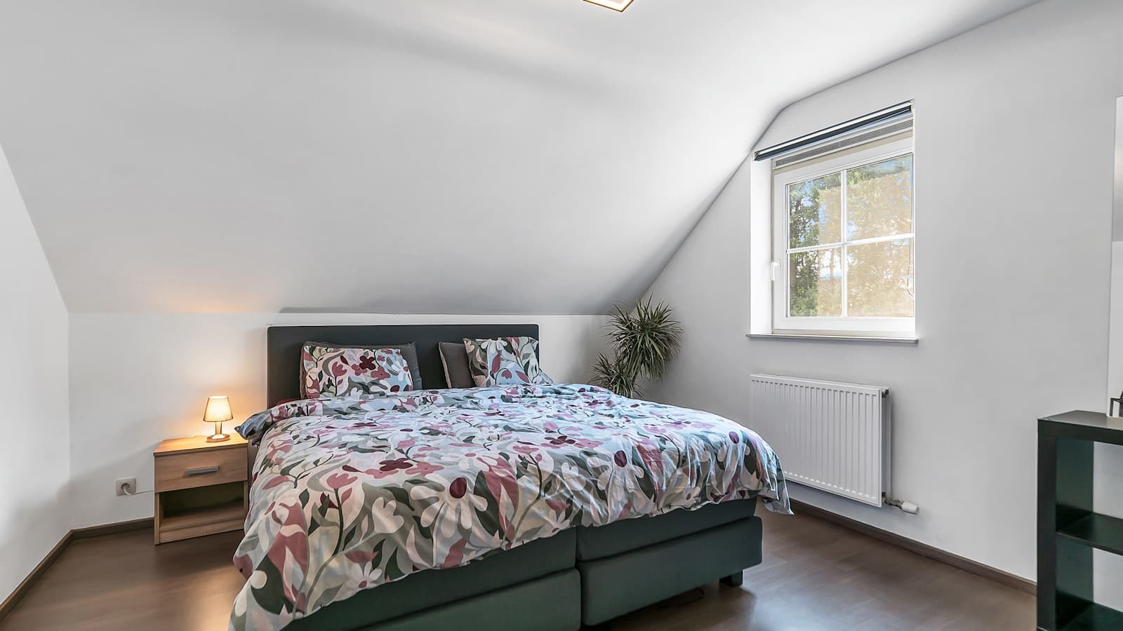 Huis Beringen foto 10